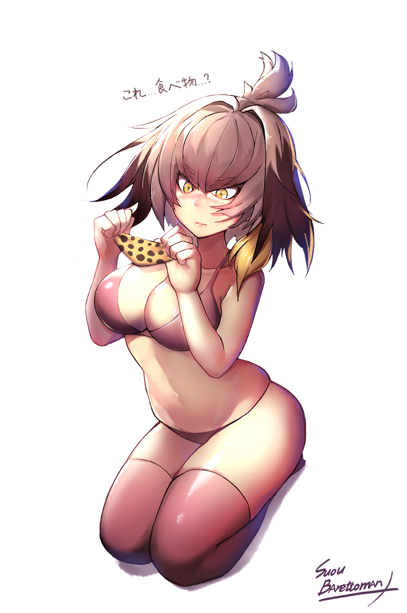 1girl animal_print artist_name black_hair blonde_hair blush bra breasts brown_eyes closed_mouth collarbone eto_(nistavilo2) eyebrows_visible_through_hair full_body grey_hair highres holding holding_panties kemono_friends large_breasts multicolored_hair nose_blush panties shoebill_(kemono_friends) signature solo thigh-highs tiger_print translated underwear underwear_only