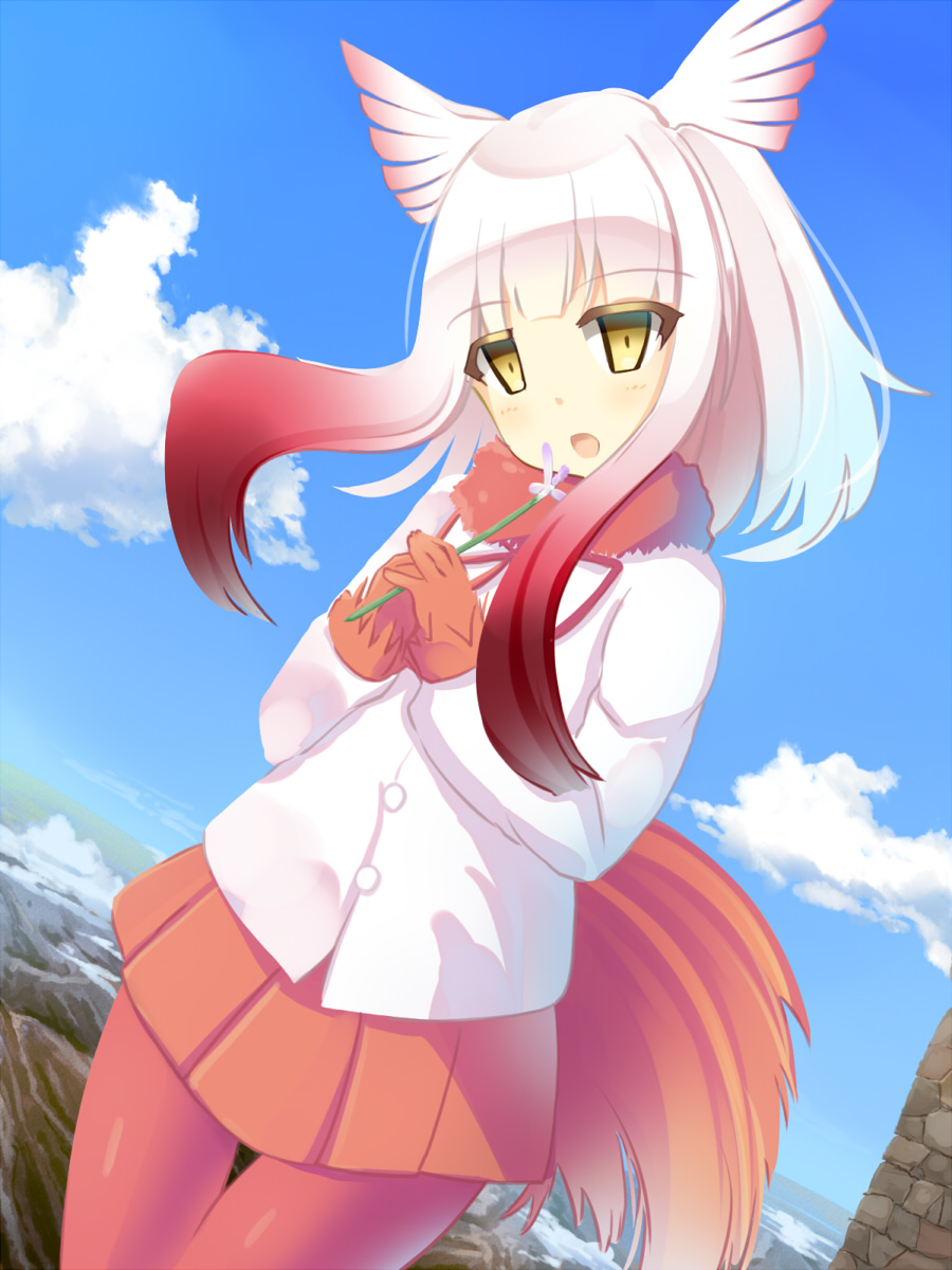 1girl bangs bird_tail blue_sky blunt_bangs crested_ibis_(kemono_friends) flower gloves head_wings highres holding holding_flower kemono_friends liya long_sleeves looking_at_viewer medium_hair miniskirt multicolored_hair pantyhose pleated_skirt red_gloves red_legwear red_skirt shirt silver_hair skirt sky solo standing two-tone_hair white_shirt yellow_eyes