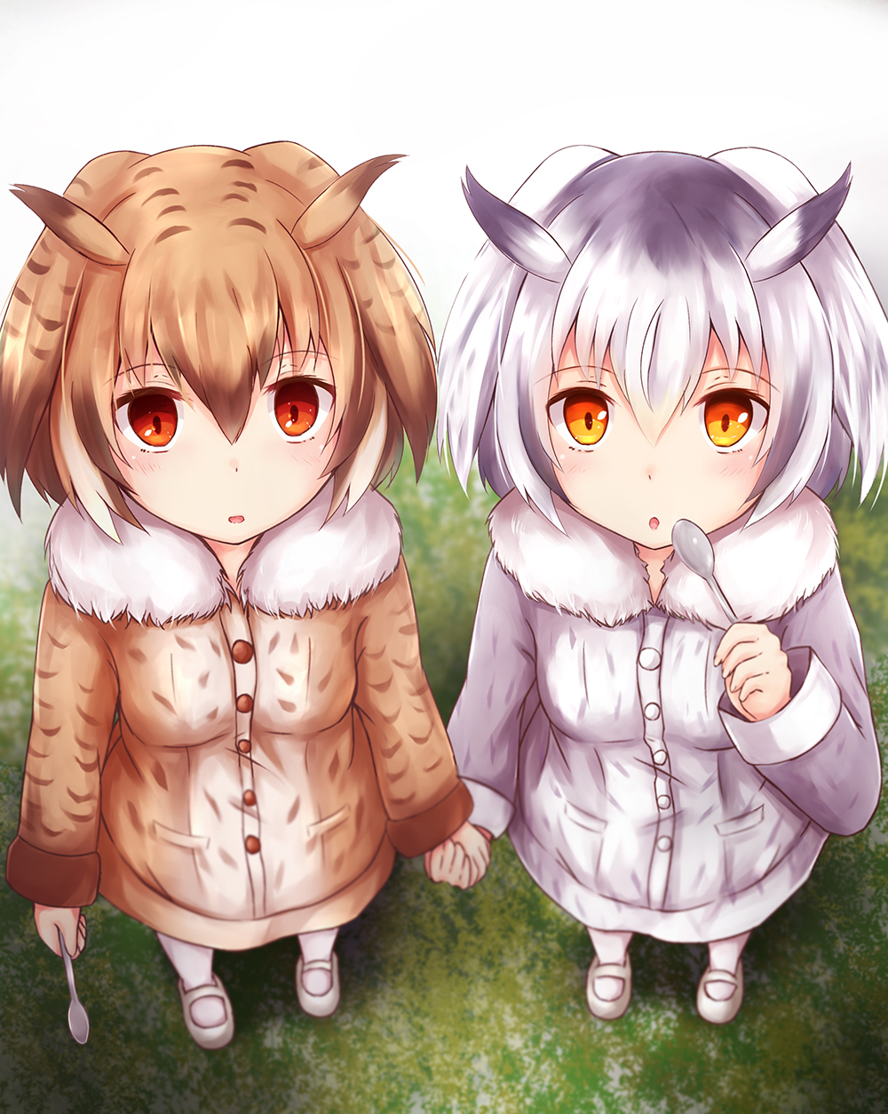 2girls animal_ears blush brown_eyes brown_hair buttons coat commentary_request eurasian_eagle_owl_(kemono_friends) eyebrows_visible_through_hair fur_collar fur_trim grey_hair hair_between_eyes head_wings highres kashiwagi_yamine kemono_friends long_sleeves looking_at_viewer multicolored_hair multiple_girls northern_white-faced_owl_(kemono_friends) open_mouth short_hair white_hair wings