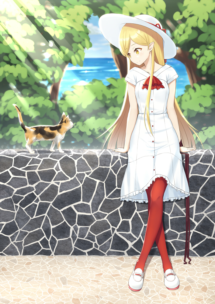 1girl blonde_hair blue_sky cat closed_mouth clouds cloudy_sky day dress eyebrows_visible_through_hair hat heijialan leaning_on_object light_rays long_hair looking_at_another mary_janes monogatari_(series) ocean oshino_shinobu outdoors pantyhose pointy_ears red_legwear shoes sky smile solo sun_hat sunbeam sundress sunlight tabby_cat very_long_hair white_dress white_hat white_shoes yellow_eyes