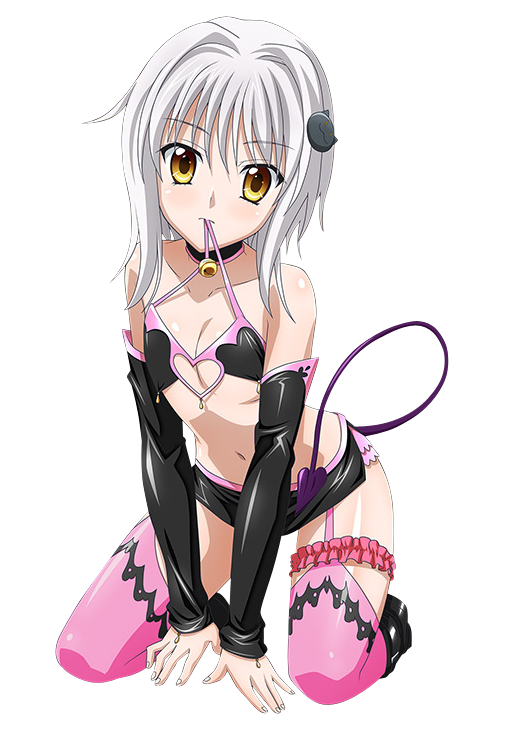 1girl black_bra black_skirt bra breasts cat_hair_ornament cleavage demon_tail detached_sleeves eyebrows_visible_through_hair full_body garter_straps garters hair_ornament heart_cutout high_school_dxd kneeling looking_at_viewer midriff miniskirt mouth_hold nail_polish navel pink_legwear shiny shiny_skin short_hair_with_long_locks sidelocks silver_hair skirt small_breasts solo stomach tail thigh-highs toujou_koneko underwear white_nails yellow_eyes