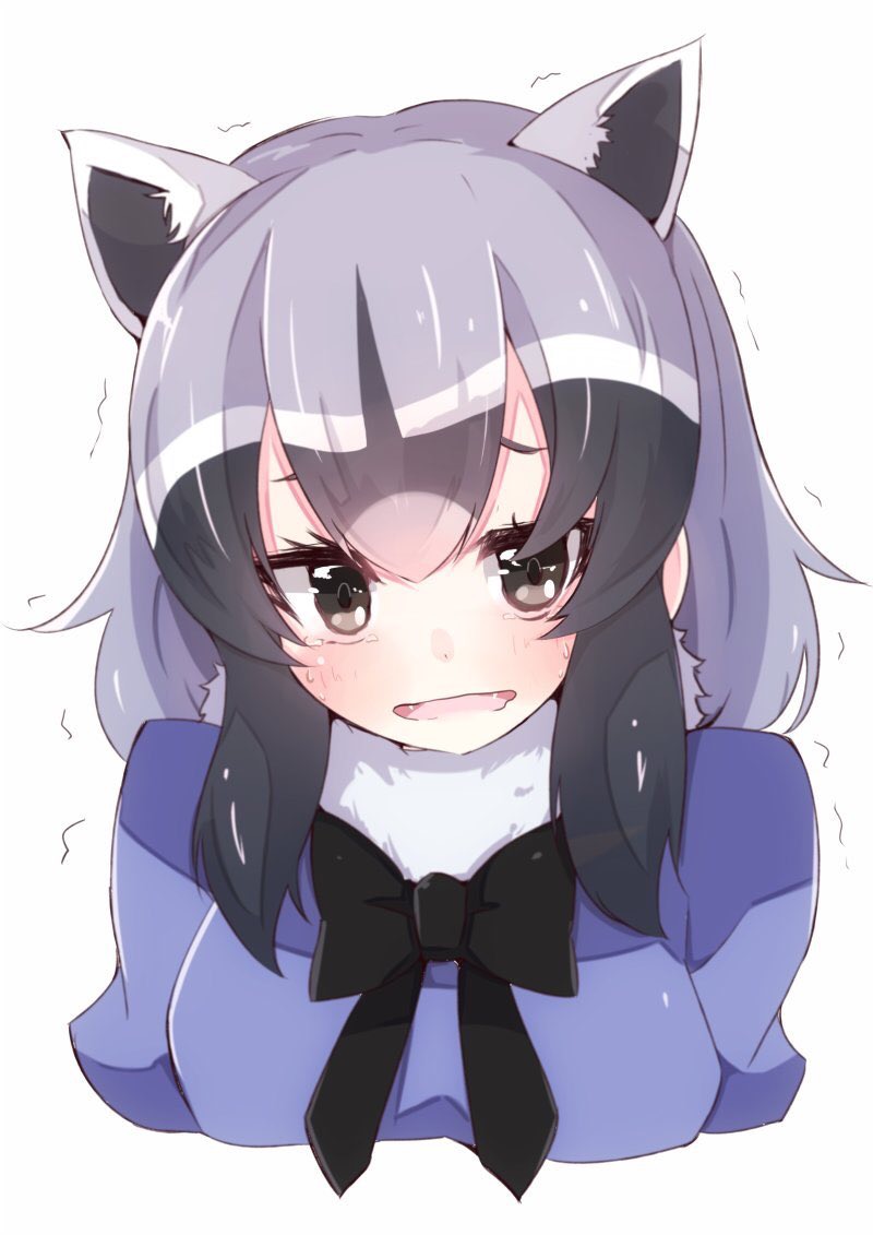 1girl animal_ears black_eyes black_hair black_ribbon blue_shirt blush collar cropped_torso crying d: dot_nose enelis eyebrow_twitching eyebrows eyelashes fangs fur_collar gradient_hair grey_hair jitome kemono_friends looking_at_viewer multicolored_hair neck_ribbon open_mouth puffy_short_sleeves puffy_sleeves raccoon_(kemono_friends) raccoon_ears ribbon sad sanpaku shiny shiny_clothes shiny_hair shiny_skin shirt short_hair short_sleeves sidelocks simple_background solo sweat tears thick_eyebrows trembling upper_body wavy_mouth white_background white_hair