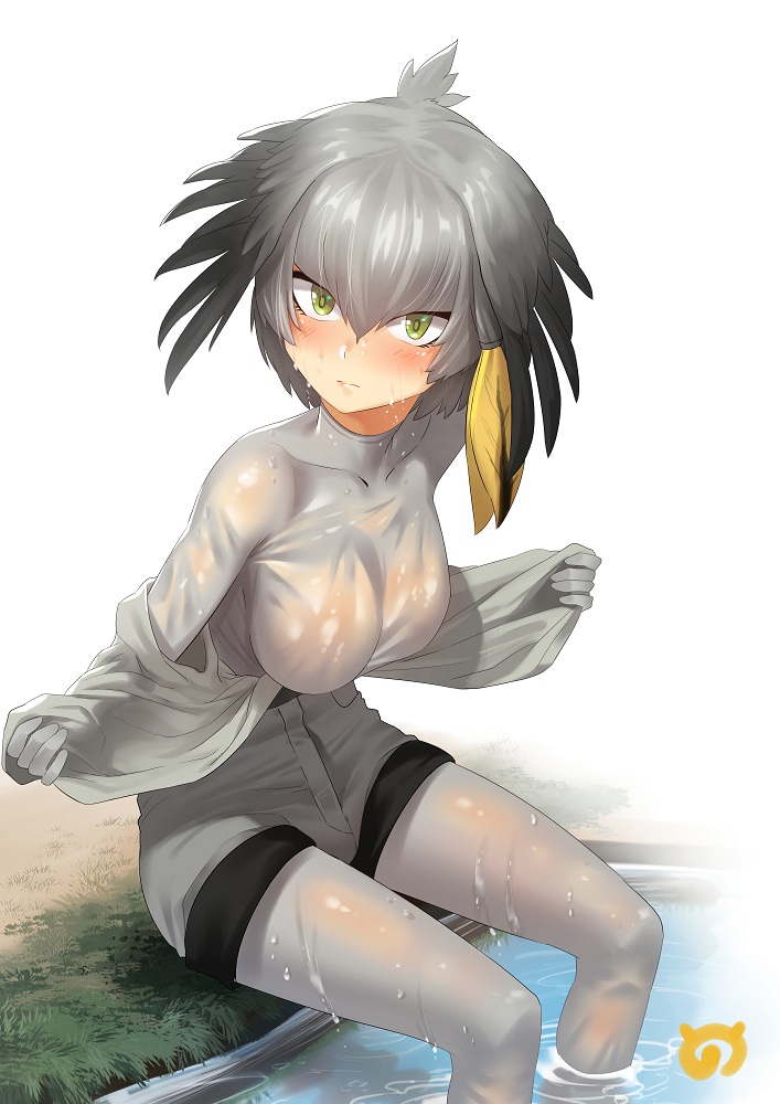 1girl black_hair blush bodystocking breasts closed_mouth collared_shirt eyebrows_visible_through_hair grass grey_hair grey_shirt grey_shorts ichihyaku_nanajuu kemono_friends large_breasts looking_at_viewer low_ponytail multicolored_hair orange_hair river riverbank see-through shirt shoebill_(kemono_friends) shorts side_ponytail simple_background sitting solo undressing water wet white_background yellow_eyes