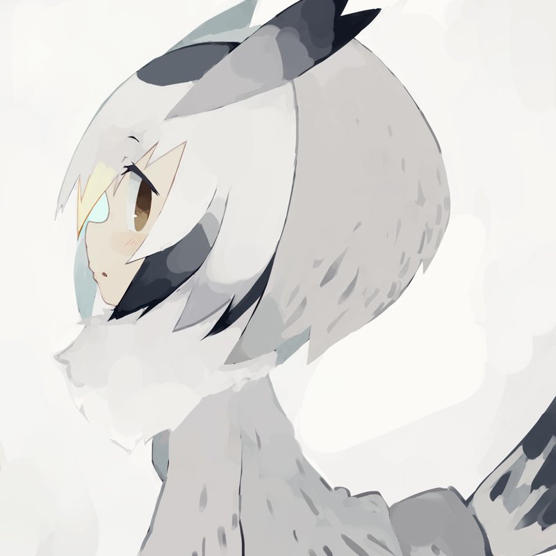 1girl :o bird_tail blush brown_eyes coat feathers from_side fur_collar head_wings kemono_friends northern_white-faced_owl_(kemono_friends) open_mouth paprika_shikiso simple_background solo upper_body white_background