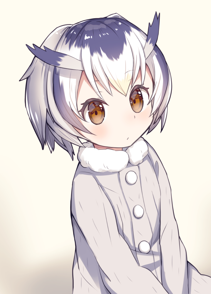 1girl black_hair brown_eyes buttons coat expressionless fur_collar gradient gradient_background haruno_suzune head_wings kemono_friends long_sleeves looking_at_viewer multicolored_hair northern_white-faced_owl_(kemono_friends) short_hair solo two-tone_hair v_arms white_hair