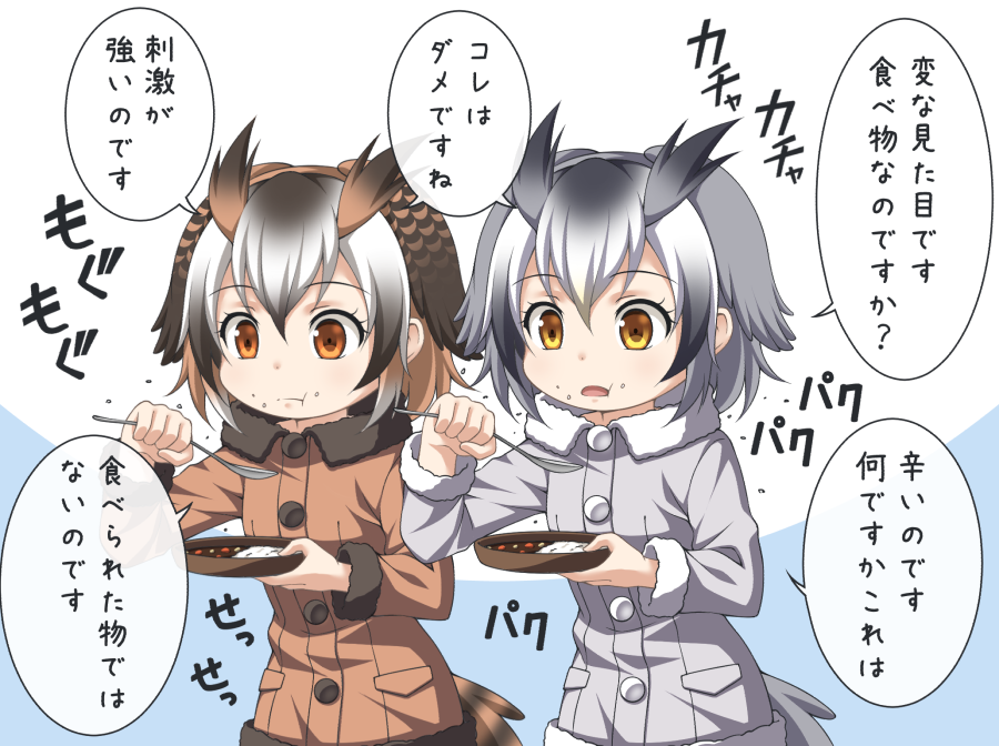 2girls animal_ears blush bowl brown_eyes brown_hair buttons coat commentary_request curry curry_rice eating eurasian_eagle_owl_(kemono_friends) eyebrows_visible_through_hair food food_on_face fur_collar fur_trim grey_hair hair_between_eyes head_wings holding holding_spoon kemono_friends kyuutou_(kyuutouryuu) long_sleeves looking_at_viewer multicolored_hair multiple_girls northern_white-faced_owl_(kemono_friends) pantyhose plate rice short_hair speech_bubble spoon translation_request white_hair wings