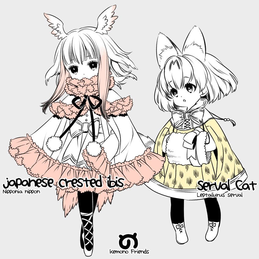 2girls :o adapted_costume alternate_costume alternate_footwear alternate_legwear animal_ears ankle_boots ballet_slippers bangs belt bird_tail bird_wings black_legwear blunt_bangs boots bow bowtie buttons cape capelet character_name child copyright_name crested_ibis_(kemono_friends) cross-laced_clothes cross-laced_footwear dot_nose drawstring dress european_clothes expressionless eyebrows_visible_through_hair eyelashes feathers flat_color frilled_capelet frilled_dress frilled_sleeves frills full_body gradient_hair grey_background hands_in_sleeves head_wings height_difference japari_symbol kemono_friends latin long_sleeves looking_at_another looking_at_viewer looking_to_the_side looking_up multicolored_hair multiple_girls muted_color pantyhose partially_colored pigeon-toed pom_pom_(clothes) redhead romaji scientific_name serval_(kemono_friends) serval_ears serval_print serval_tail short_hair short_hair_with_long_locks sidelocks simple_background standing striped_tail sumachii tail tail_feathers tareme tiptoes too_many too_many_frills two-tone_hair white_belt white_bow white_footwear white_hair white_skin wings younger
