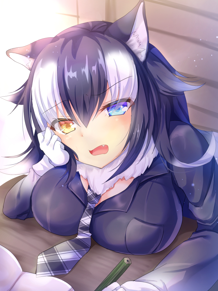 1girl animal_ears bangs black_hair blue_eyes book breast_rest breasts chin_rest eyebrows_visible_through_hair fang gloves grey_necktie grey_wolf_(kemono_friends) hair_between_eyes hair_flaps hand_on_own_cheek holding holding_pencil kemono_friends large_breasts looking_at_viewer multicolored_hair nagare_yoshimi necktie open_book open_mouth pencil plaid plaid_necktie sidelocks solo table two-tone_hair white_gloves white_hair wolf_ears yellow_eyes