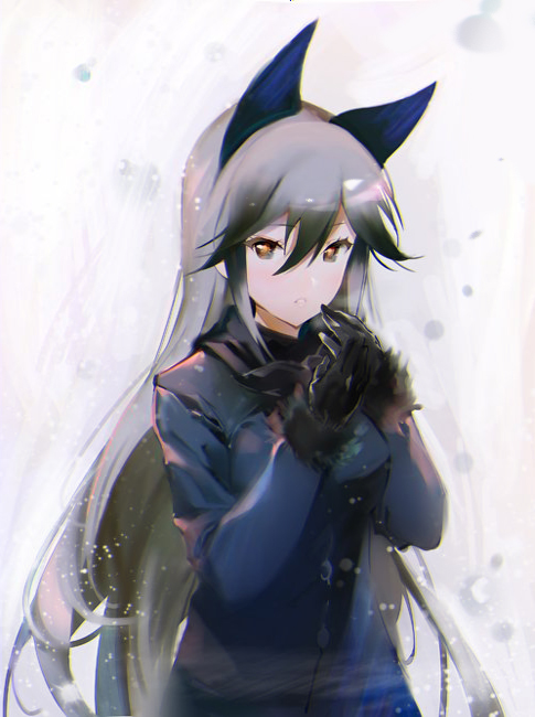 1girl animal_ears black_gloves blue_coat blush eyebrows_visible_through_hair fox_ears fur_trim gloves grey_eyes grey_hair hair_between_eyes kemono_friends long_hair looking_at_viewer naye own_hands_together parted_lips silver_fox_(kemono_friends) solo very_long_hair
