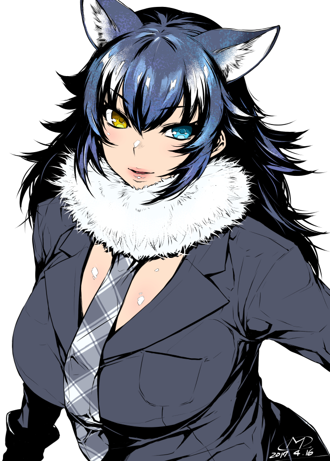 &gt;:) 1girl animal_ears black_gloves blazer blue_eyes blue_hair blush breasts dated extra_ears eyebrows_visible_through_hair fur_collar gloves grey_wolf_(kemono_friends) hair_between_eyes happa_(cloverppd) heterochromia jacket kemono_friends large_breasts long_hair looking_at_viewer multicolored_hair necktie number parted_lips plaid plaid_necktie shiny shiny_skin simple_background smile solo two-tone_hair upper_body white_background white_hair wolf_ears yellow_eyes