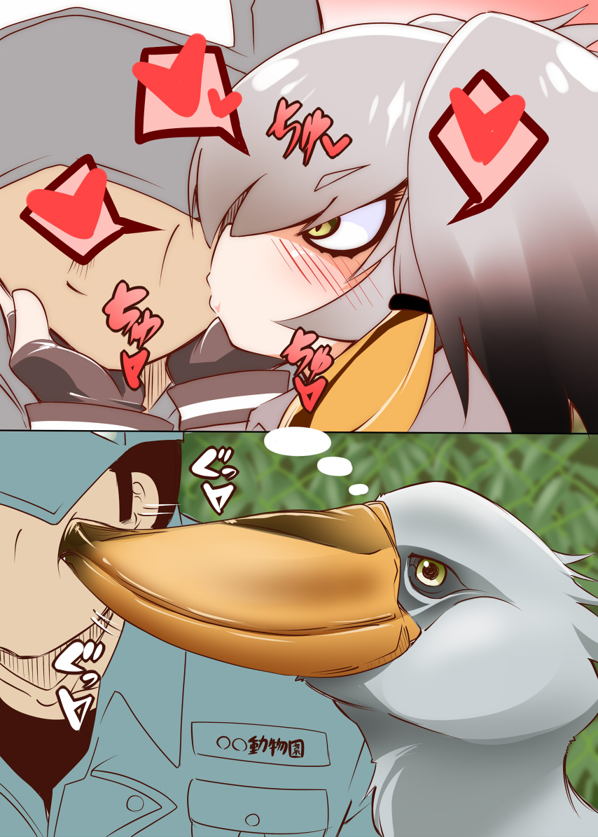 1boy 1girl animal bird black_hair blush cheek_kiss eyebrows_visible_through_hair grey_hair head_wings heart kemono_friends kiss multicolored_hair nananana_nanana shoebill shoebill_(kemono_friends) side_ponytail thought_bubble