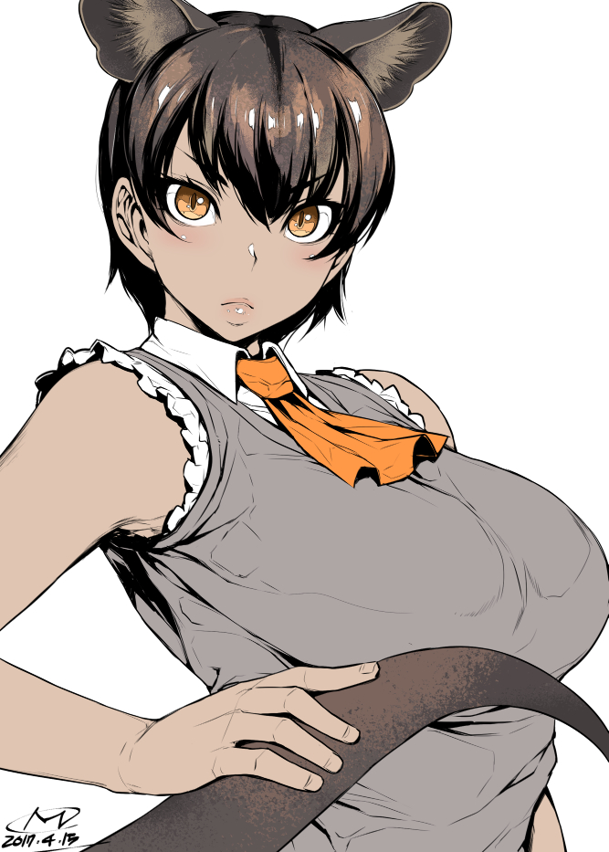 &gt;:( 1girl blush breasts brown_eyes brown_hair closed_mouth collared_shirt dark_skin dated extra_ears eyebrows_visible_through_hair fossa_(kemono_friends) fossa_ears frilled_shirt frills frown grey_vest hair_between_eyes happa_(cloverppd) head_tilt holding_tail kemono_friends large_breasts number shirt simple_background sleeveless sleeveless_shirt solo tail upper_body vest white_background white_shirt wing_collar