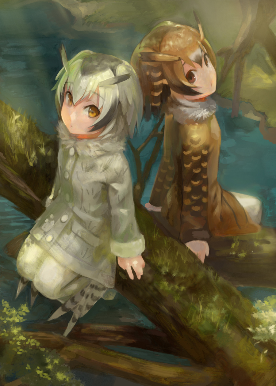 2girls :/ :| arms_at_sides backlighting black_hair blonde_hair brown_coat brown_eyes brown_hair buttons closed_mouth coat collar eurasian_eagle_owl_(kemono_friends) expressionless eyebrows_visible_through_hair from_above from_behind fur_collar gradient_hair grey_coat grey_hair hair_between_eyes head_wings highres in_tree kemono_friends long_sleeves looking_at_viewer looking_back looking_up mizore_akihiro multicolored_hair multiple_girls nature northern_white-faced_owl_(kemono_friends) outdoors pantyhose pocket river short_hair sitting sitting_in_tree sleeve_cuffs tail tree tsurime water white_hair white_legwear wings yellow_eyes