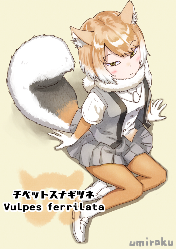 1girl :| animal_ears arms_at_sides artist_name beige_background blush brown_footwear brown_legwear brown_shirt brown_shoes buttons character_name closed_mouth collar dot_nose elbow_gloves expressionless eyebrows eyebrows_visible_through_hair fox_ears fox_tail from_above full_body fur_collar gloves gradient_clothes gradient_footwear gradient_legwear grey_skirt grey_vest japari_symbol kemono_friends light_brown_hair loafers looking_at_viewer looking_up multicolored multicolored_clothes multicolored_gloves multicolored_hair multicolored_legwear multicolored_shirt multicolored_shoes necktie open_clothes open_vest pleated_skirt scientific_name shadow shirt shoes short_hair short_sleeves simple_background sitting skirt solo tail tibetan_sand_fox_(kemono_friends) tsurime two-tone_hair two-tone_legwear vest white_footwear white_hair white_legwear white_necktie white_shirt white_shoes yellow_eyes yokozuwari yukiroku