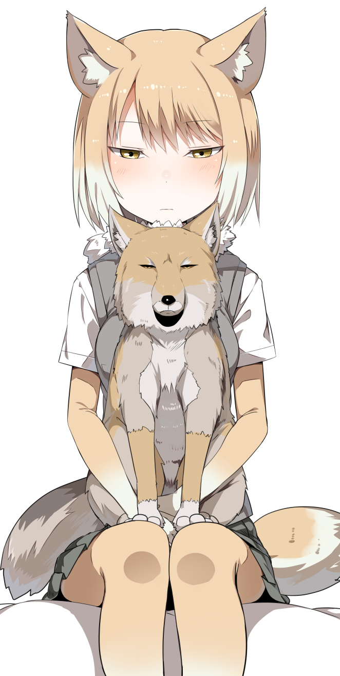1girl 5240mosu :| animal animal_ears blush closed_mouth dot_nose expressionless eyebrows_visible_through_hair fox fox_tail fur_collar gloves gradient_hair gradient_legwear grey_skirt grey_vest highres holding holding_animal kemono_friends light_brown_hair looking_at_viewer multicolored multicolored_clothes multicolored_gloves multicolored_hair multicolored_legwear open_clothes open_vest pantyhose pleated_skirt shadow shiny shiny_hair shiny_skin shirt short_hair short_sleeves sitting skirt tail tibetan_sand_fox tibetan_sand_fox_(kemono_friends) tsurime two-tone_hair two-tone_legwear vest white_background white_hair white_shirt yellow_eyes