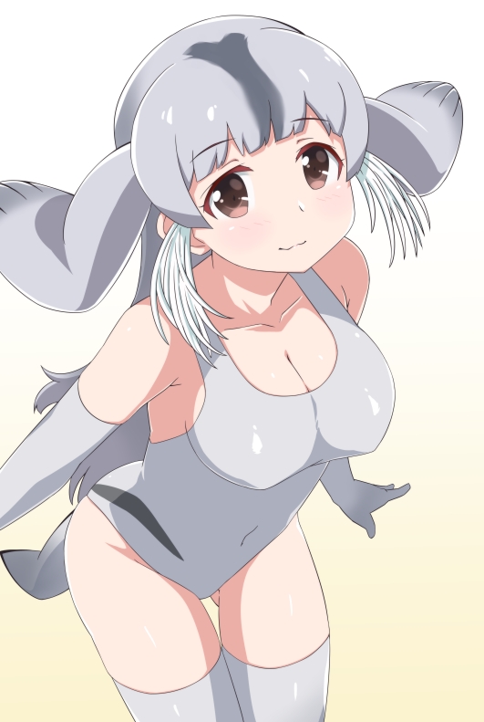 1girl :3 armpit_peek arms_at_sides bare_shoulders bearded_seal_(kemono_friends) blush breasts brown_eyes cleavage collarbone covered_navel cowboy_shot elbow_gloves erect_nipples eyebrows_visible_through_hair eyelashes gloves gluteal_fold gradient gradient_background gradient_legwear grey_gloves grey_hair grey_legwear grey_swimsuit groin kemono_friends large_breasts long_hair looking_at_viewer mootishia multicolored multicolored_background multicolored_hair one-piece_swimsuit seal_tail shiny shiny_clothes shiny_hair shiny_skin sideboob sidelocks smile solo swimsuit tail tareme thigh-highs two-tone_background two-tone_legwear white_background yellow_background