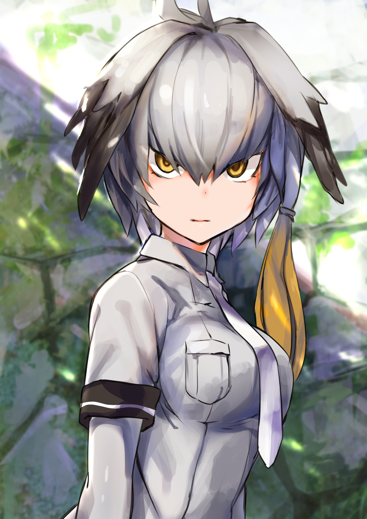 1girl amamitsu_kousuke blurry blurry_background bodystocking breasts grey_shirt head_wings kemono_friends long_hair looking_at_viewer low_ponytail medium_breasts multicolored_hair necktie shirt shoebill_(kemono_friends) short_sleeves side_ponytail solo yellow_eyes