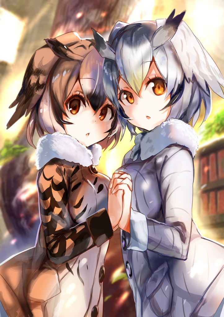 2girls amamitsu_kousuke bangs bookshelf brown_eyes brown_hair chestnut_mouth commentary_request day eurasian_eagle_owl_(kemono_friends) eyebrows_visible_through_hair feathered_wings from_side fur_trim hair_between_eyes hand_holding head_wings interlocked_fingers jacket kemono_friends long_sleeves looking_at_viewer multiple_girls northern_white-faced_owl_(kemono_friends) open_mouth orange_eyes short_hair silver_hair sunlight symmetrical_hand_pose tree upper_body wings