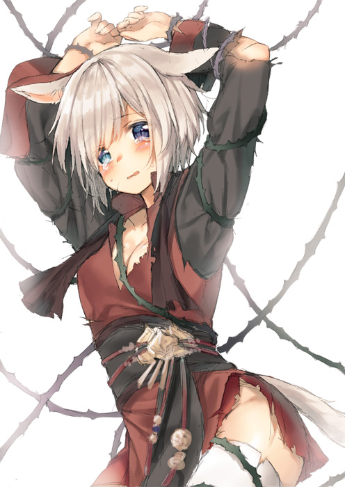 1girl animal_ears arms_up bdsm blue_eyes blush bondage bound breasts cat_ears character_request cleavage commentary_request final_fantasy final_fantasy_xiv looking_at_viewer medium_breasts midorikawa_you obi restrained sash short_hair silver_hair solo tears