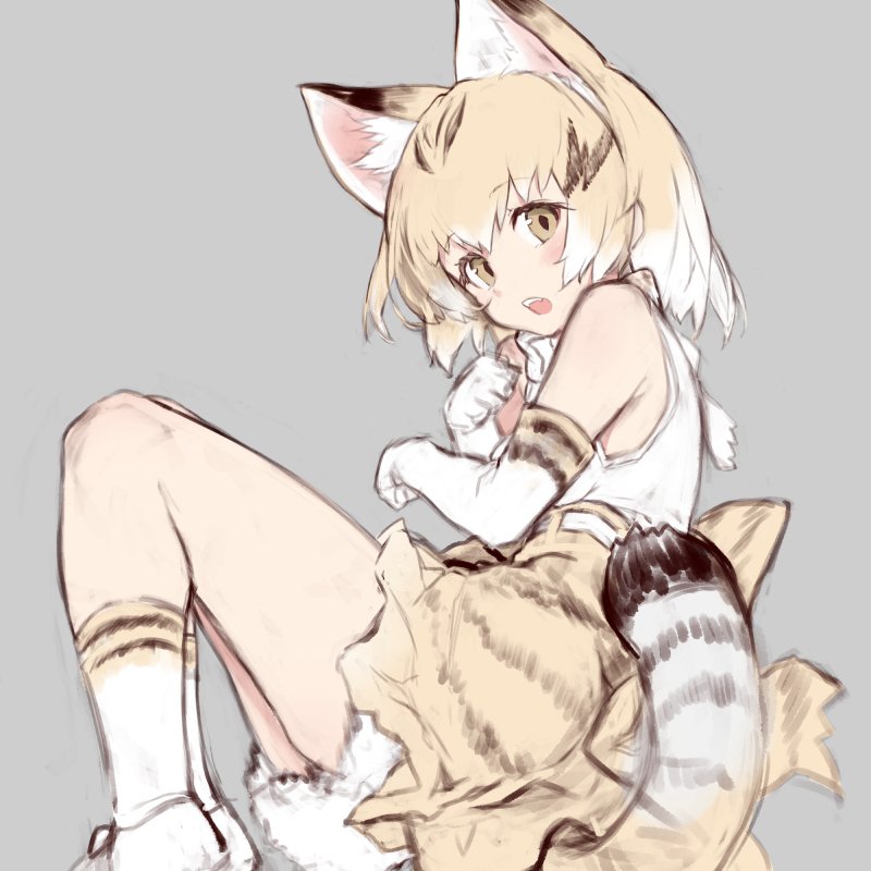 1girl :o animal_ears bare_shoulders blonde_hair blurry bow bowtie bute_(butegram) cat_ears cat_tail clenched_hands depth_of_field elbow_gloves extra_ears eyebrows_visible_through_hair eyelashes fangs gloves gradient_hair grey_background high-waist_skirt kemono_friends legs_together light_brown_eyes looking_at_viewer multicolored_hair open_mouth paw_pose petticoat print_gloves print_legwear print_skirt sand_cat_(kemono_friends) shirt shoelaces short_hair simple_background sketch skirt sleeveless sleeveless_shirt socks solo streaked_hair striped_tail tail tareme teeth upper_teeth white_bow white_bowtie white_footwear white_hair white_shirt