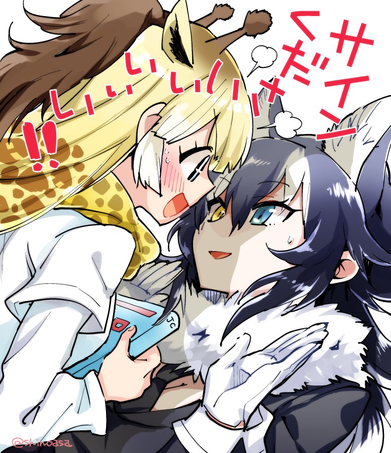 !! 2girls animal_ears blue_hair blush book breasts cleavage coat eye_contact fur_collar giraffe_ears giraffe_print gloves grey_wolf_(kemono_friends) happy heterochromia kemono_friends long_hair looking_at_another multiple_girls necktie reticulated_giraffe_(kemono_friends) scarf shinoasa shirt simple_background smile sparkling_eyes sweat twitter_username white_background white_gloves wolf_ears yellow_eyes yuri