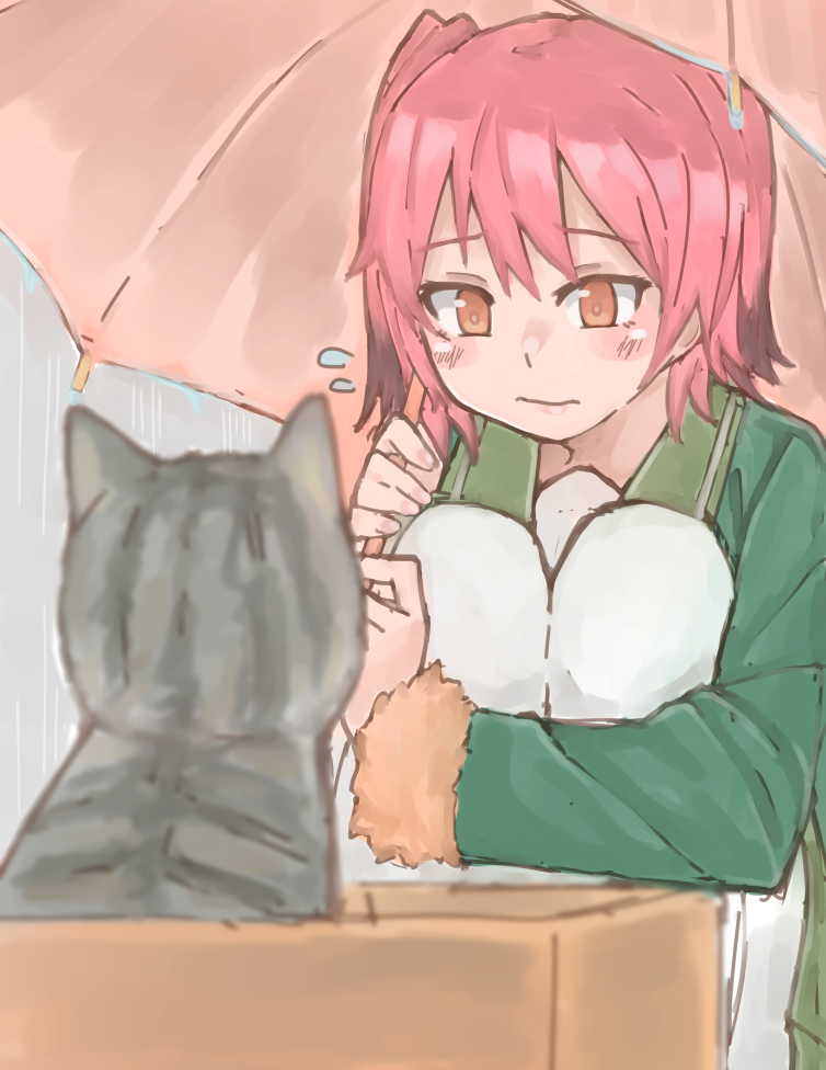 1girl az_toride blurry box brown_eyes cat colored_tips depth_of_field flying_sweatdrops fur-trimmed_sleeves fur_trim holding holding_umbrella in_box in_container kantai_collection kunashiri_(kantai_collection) lips looking_at_another pink_hair rain squatting two_side_up umbrella white_legwear