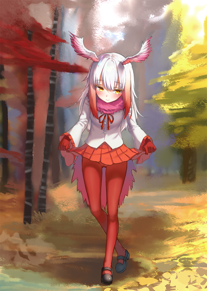 1girl autumn_leaves blurry blush closed_mouth curtsey day depth_of_field eyebrows_visible_through_hair frilled_sleeves frills full_body fur_collar head_wings japanese_crested_ibis_(kemono_friends) kemono_friends long_hair long_sleeves looking_away multicolored_hair outdoors pantyhose pleated_skirt red_legwear red_skirt redhead rokuroku_(xd_p) shirt skirt skirt_hold smile solo standing tree two-tone_hair white_hair white_shirt wide_sleeves