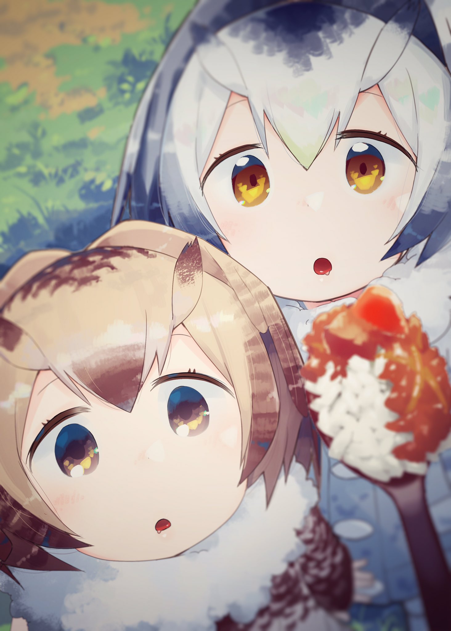 2girls arms_at_sides blurry blush brown_coat brown_eyes brown_hair buttons coat curry curry_rice depth_of_field drooling eurasian_eagle_owl_(kemono_friends) eyelashes food from_above fur_collar grass green_hair grey_coat grey_hair ground highres kemono_friends light_brown_hair looking_at_viewer mizu_asato multicolored_hair multiple_girls northern_white-faced_owl_(kemono_friends) open_mouth outdoors pepper pov rice short_hair spoon tareme