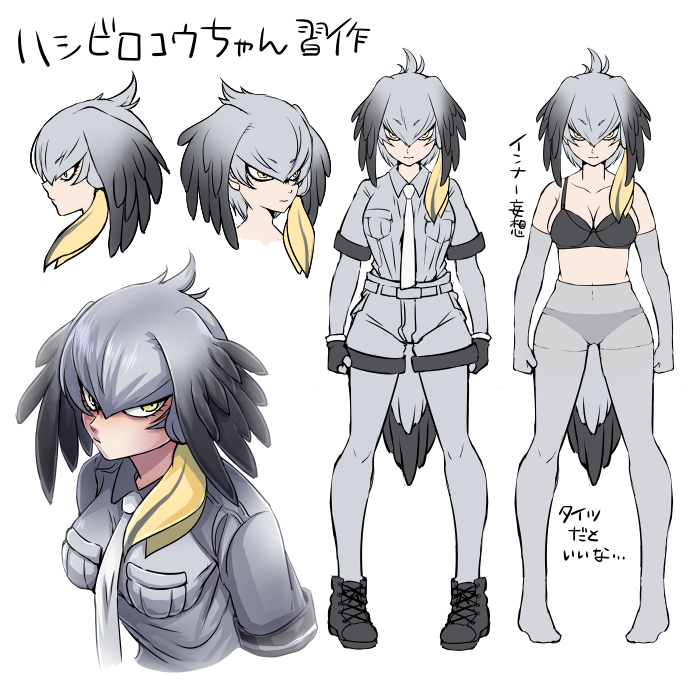 1girl aetio black_boots boots bra breasts character_sheet elbow_gloves eyebrows_visible_through_hair gloves grey_hair head_wings kemono_friends legwear_under_shorts long_hair looking_at_viewer multicolored_hair necktie pantyhose shirt shoebill_(kemono_friends) shorts side_ponytail underwear yellow_eyes