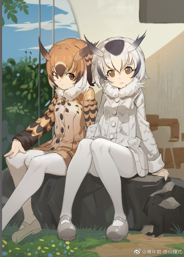 2girls :o :| arm_support beige_coat beige_shoes blonde_hair blue_sky brown_coat brown_hair building buttons closed_mouth clouds coat day eurasian_eagle_owl_(kemono_friends) expressionless eyebrows_visible_through_hair eyelashes flower full_body fur_collar grass grey_coat grey_hair grey_shoes ground hand_on_own_knee kemono_friends knees_together_feet_apart light_brown_eyes light_brown_hair long_sleeves looking_at_viewer mary_janes multicolored_coat multicolored_hair multiple_girls northern_white-faced_owl_(kemono_friends) open_mouth outdoors pantyhose pocket rock seinen shadow shoes silver_hair sitting sitting_on_rock sky sleeve_cuffs sunlight tree weibo_username white_hair white_legwear window