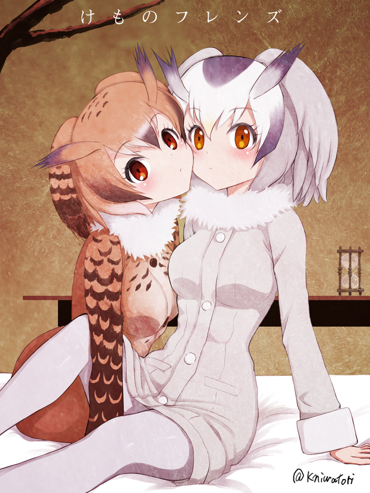 2girls arm_support bed blush breasts brown_eyes brown_hair cheek-to-cheek coat commentary_request copyright_name eurasian_eagle_owl_(kemono_friends) eyebrows_visible_through_hair fur_collar grey_hair grey_legwear head_wings hourglass kemono_friends long_sleeves looking_at_viewer medium_breasts multicolored_hair multiple_girls niwatori_kokezou northern_white-faced_owl_(kemono_friends) on_bed pantyhose purple_hair red_eyes short_hair signature sitting twitter_username white_hair