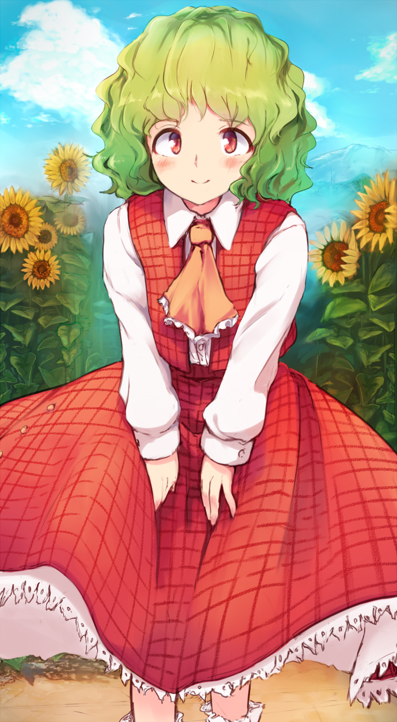 1girl ascot bangs blue_sky blush clouds collared_shirt cross_eyed day eyebrows_visible_through_hair flan_(harry_mackenzie) flower frilled_skirt frills garden_of_the_sun green_hair highres kazami_yuuka long_skirt long_sleeves looking_at_viewer mountain open_clothes open_vest outdoors plaid plaid_skirt plaid_vest red_eyes red_skirt red_vest reflective_eyes shiny shiny_hair shirt short_hair skirt skirt_set sky smile solo sunflower touhou vest wavy_hair white_legwear white_shirt younger