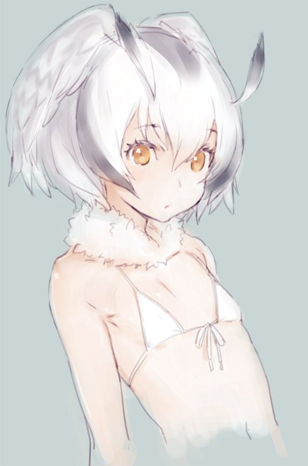 1girl bangs bikini brown_eyes commentary_request eyebrows_visible_through_hair flat_chest front-tie_top fur_collar grey_hair hair_between_eyes head_wings kawata_hisashi kemono_friends looking_at_viewer multicolored_hair northern_white-faced_owl_(kemono_friends) open_mouth short_hair sketch solo swimsuit white_bikini white_hair wings