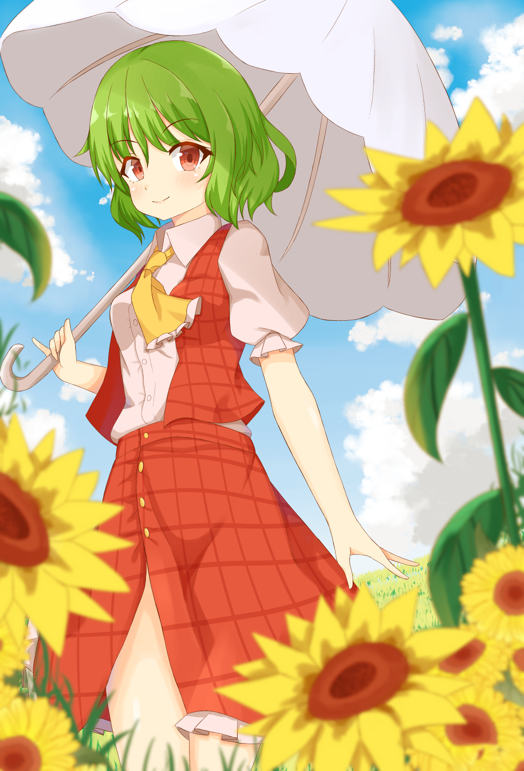 1girl adapted_costume ascot bangs blue_sky blurry blush breasts clouds collared_shirt day depth_of_field flower frilled_skirt frills grass green_hair highres holding holding_umbrella kazami_yuuka looking_at_viewer open_clothes open_vest parasol puffy_short_sleeves puffy_sleeves red_eyes red_skirt red_vest shiny shiny_hair shirt short_hair short_sleeves skirt sky smile solo thighs touhou umbrella vel0x_s vest walking white_legwear white_shirt