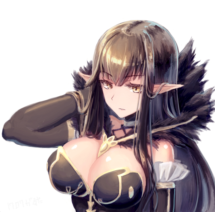 1girl assassin_of_red black_hair breasts brown_eyes detached_sleeves dress fate/apocrypha fate_(series) fur_coat garutaisa long_hair pointy_ears simple_background slit_pupils solo upper_body white_background