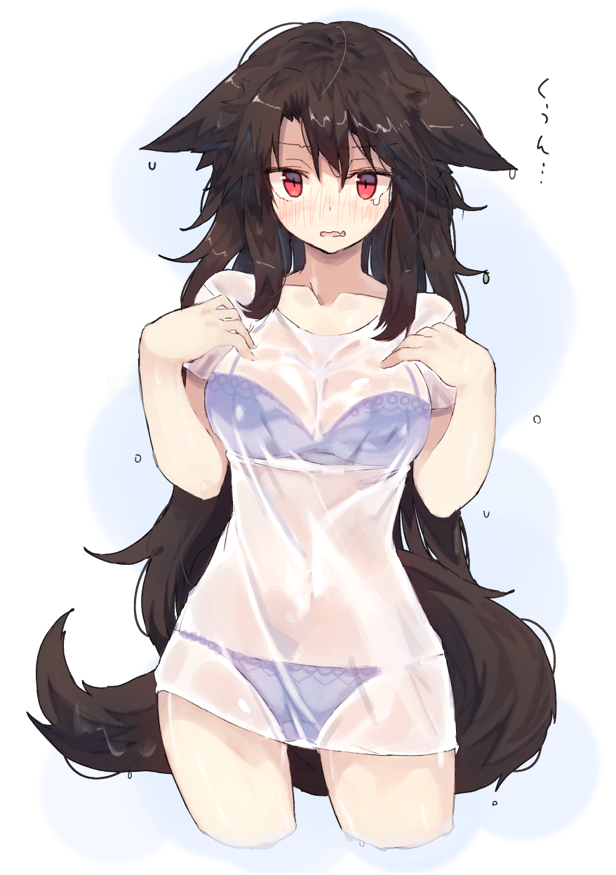 1girl alternate_costume animal_ears bei_mochi black_hair blue_bra blue_panties blush bra breasts commentary_request cowboy_shot embarrassed floppy_ears hair_between_eyes highres imaizumi_kagerou large_breasts long_hair looking_at_viewer nose_blush panties parted_lips red_eyes see-through shirt short_sleeves solo t-shirt tail touhou underwear very_long_hair wet wet_clothes wet_shirt white_shirt wolf_ears wolf_tail