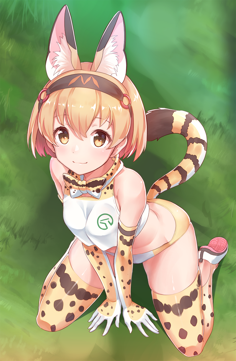 1girl animal_ears bare_shoulders blonde_hair bow bowtie breasts buruma commentary_request crop_top crop_top_overhang elbow_gloves from_above full_body gloves hairband highres japan_racing_association kemono_friends kneeling konnyaku_(kk-monmon) looking_at_viewer medium_breasts on_ground serval_(kemono_friends) serval_ears serval_print serval_tail shoe_soles shoes short_hair smile solo tail thigh-highs v_arms white_shoes yellow_eyes
