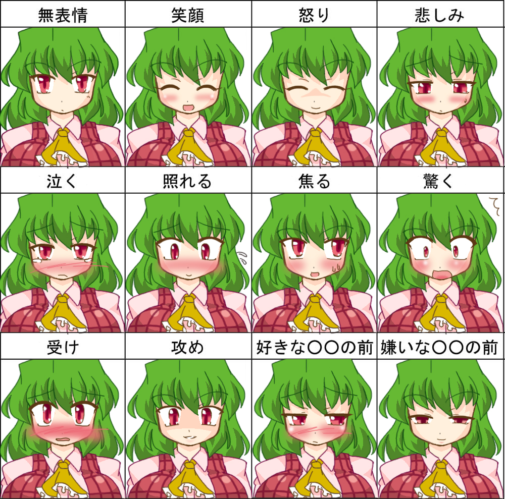 blush breasts chart chyaramu expressions frown green_hair kazami_yuuka large_breasts plaid_vest red_eyes shaded_face smile touhou translated