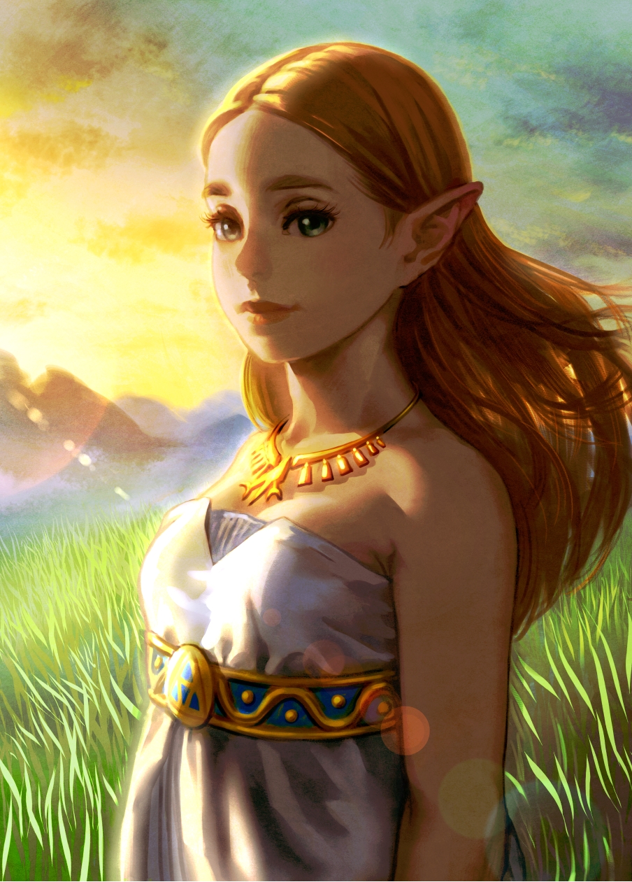 1girl bare_shoulders blonde_hair breasts dress eyelashes from_side grass green_eyes highres jewelry lips long_hair looking_at_viewer necklace outdoors pink_lips pointy_ears princess_zelda sky sleeveless sleeveless_dress smile solo strapless strapless_dress sunset the_legend_of_zelda the_legend_of_zelda:_breath_of_the_wild thick_eyebrows ug_(ugg) upper_body