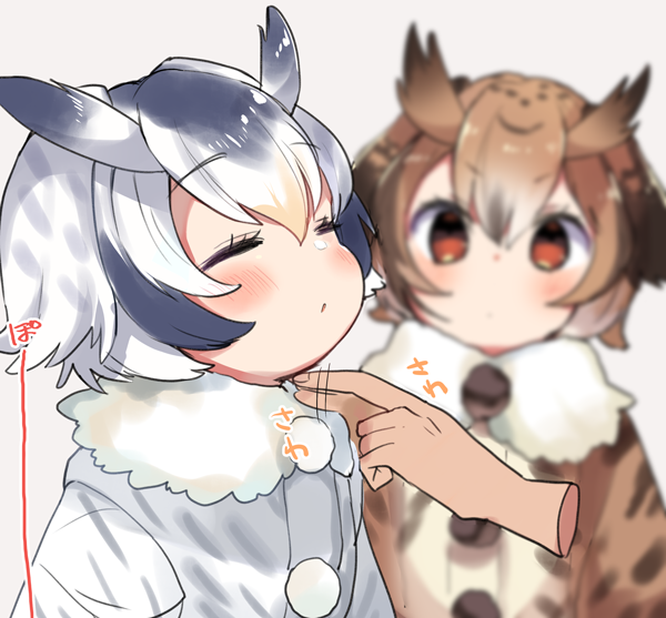 2girls animal_ears blurry blush brown_eyes brown_hair chin_tickle closed_eyes coat commentary depth_of_field disembodied_limb eurasian_eagle_owl_(kemono_friends) eyebrows_visible_through_hair fur_collar fur_trim grey_hair hair_between_eyes head_wings kemono_friends long_sleeves multicolored_hair multiple_girls northern_white-faced_owl_(kemono_friends) open_mouth otk_do pom_pom_(clothes) short_hair silver_hair simple_background white_background white_coat white_hair