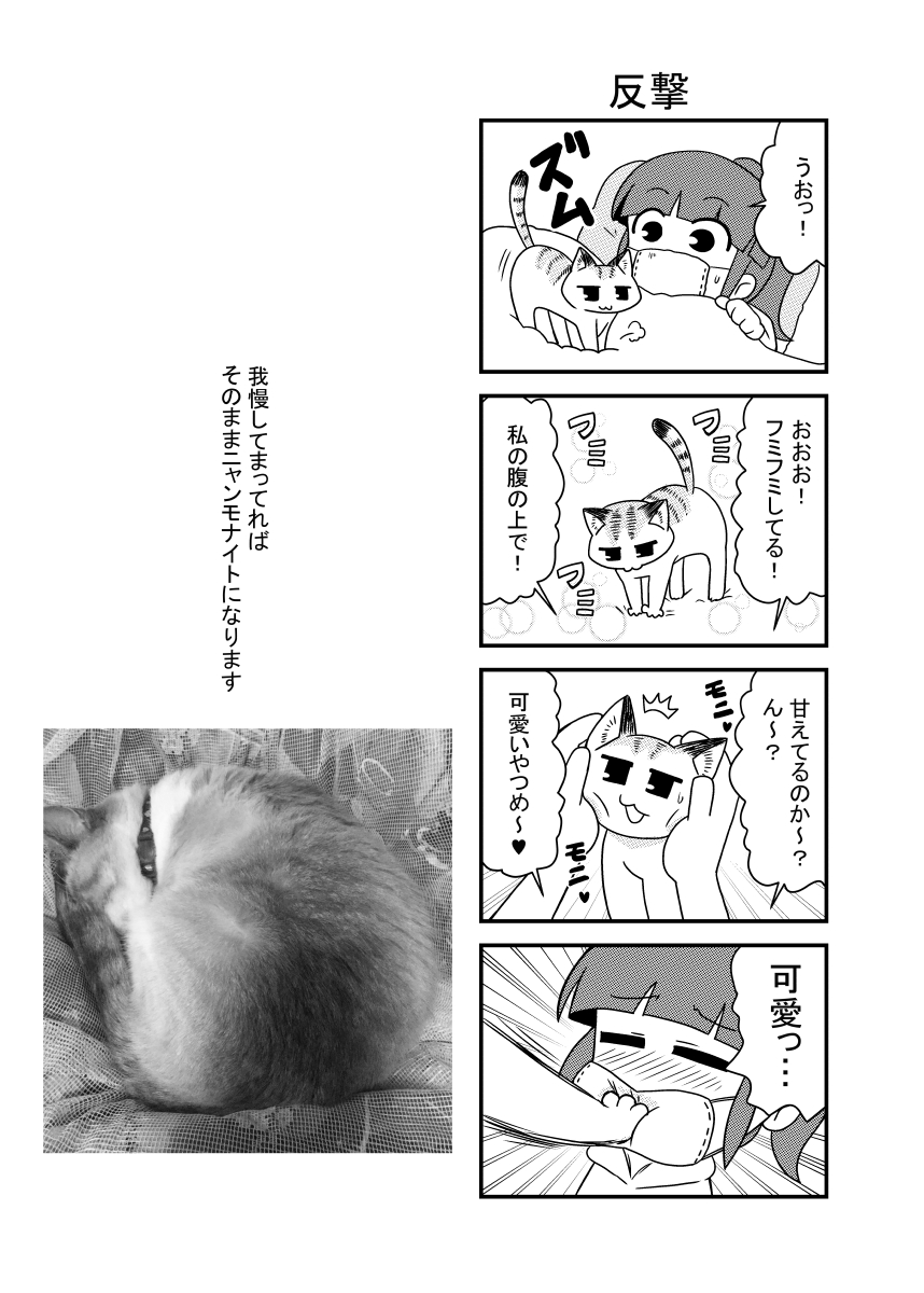 1girl 4koma animal artist_self-insert bangs blunt_bangs blush cat closed_eyes comic emphasis_lines eyebrows_visible_through_hair greyscale highres looking_at_another monochrome noai_nioshi on_bed original petting photo pillow ponytail sidelocks translation_request under_covers