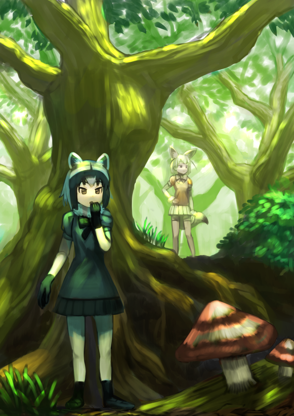 2girls animal_ears black_dress black_hair black_ribbon blonde_hair boots brown_eyes commentary_request common_raccoon_(kemono_friends) dress fennec_(kemono_friends) forest giant_mushroom grass grey_hair hand_on_hip hand_to_own_mouth kemono_friends looking_afar multicolored_hair multiple_girls nature orange_dress raccoon_ears raccoon_tail ribbon short_hair skirt tail tree wasabi60 yellow_skirt