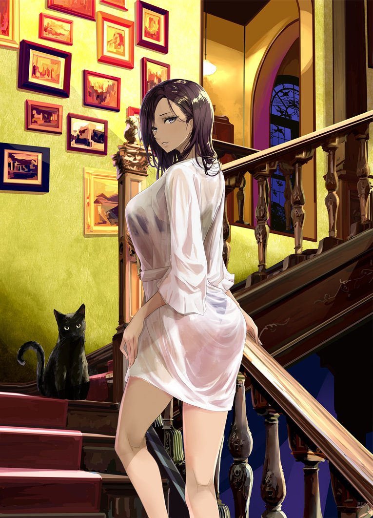 1girl brown_eyes brown_hair cat character_request chef_no_kimagure_salad light lingerie looking_at_viewer photo_(object) picture_frame robe see-through solo stairs underwear window