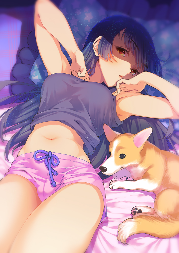 bouzu_(bonze) dog indoors lying midriff navel on_back on_bed original pillow pink_shorts purple_hair purple_shirt red_eyes shirt short_shorts shorts welsh_corgi