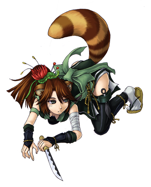 all_fours animal_ears bandage bandages hair_ornament kenkou_kurosu knife kunai mamono_girl_lover monster_girl ninja ponytail racoon reverse_grip sandals tail tanuki thigh_strap thighhighs weapon