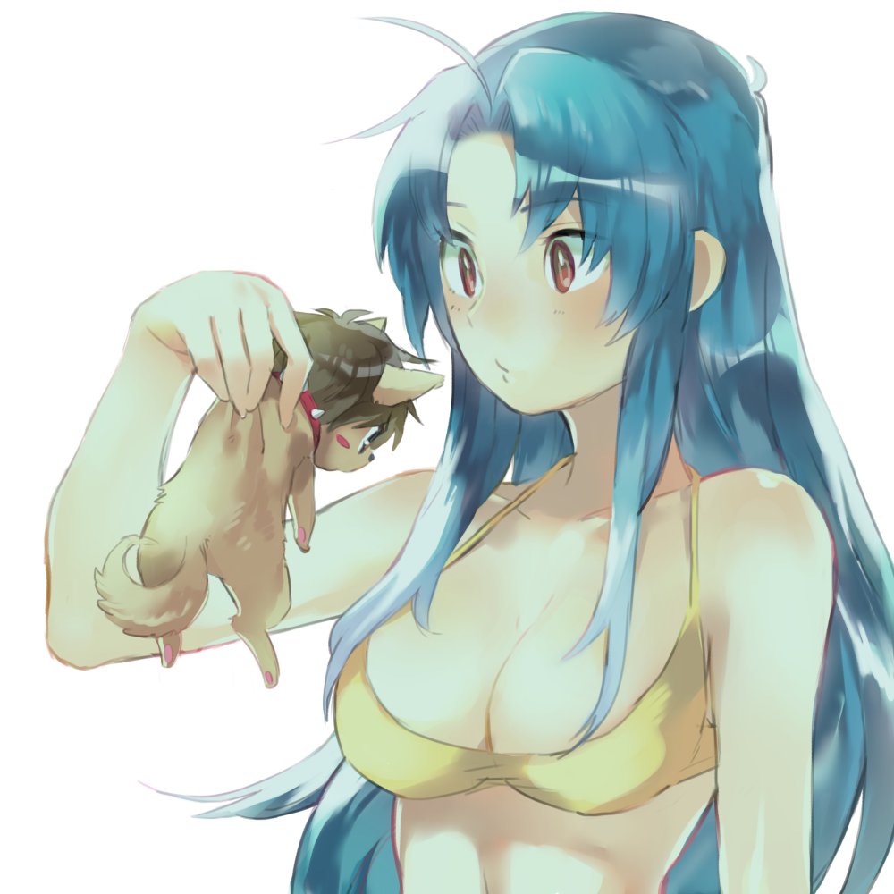 1boy 1girl ahoge aisutabetao animal animalization bare_shoulders bikini blue_hair blush_stickers breasts chibi chidori_kaname cleavage collar dog full_metal_panic! holding holding_animal long_hair medium_breasts red_eyes sagara_sousuke spiked_collar spikes swimsuit upper_body white_background yellow_bikini