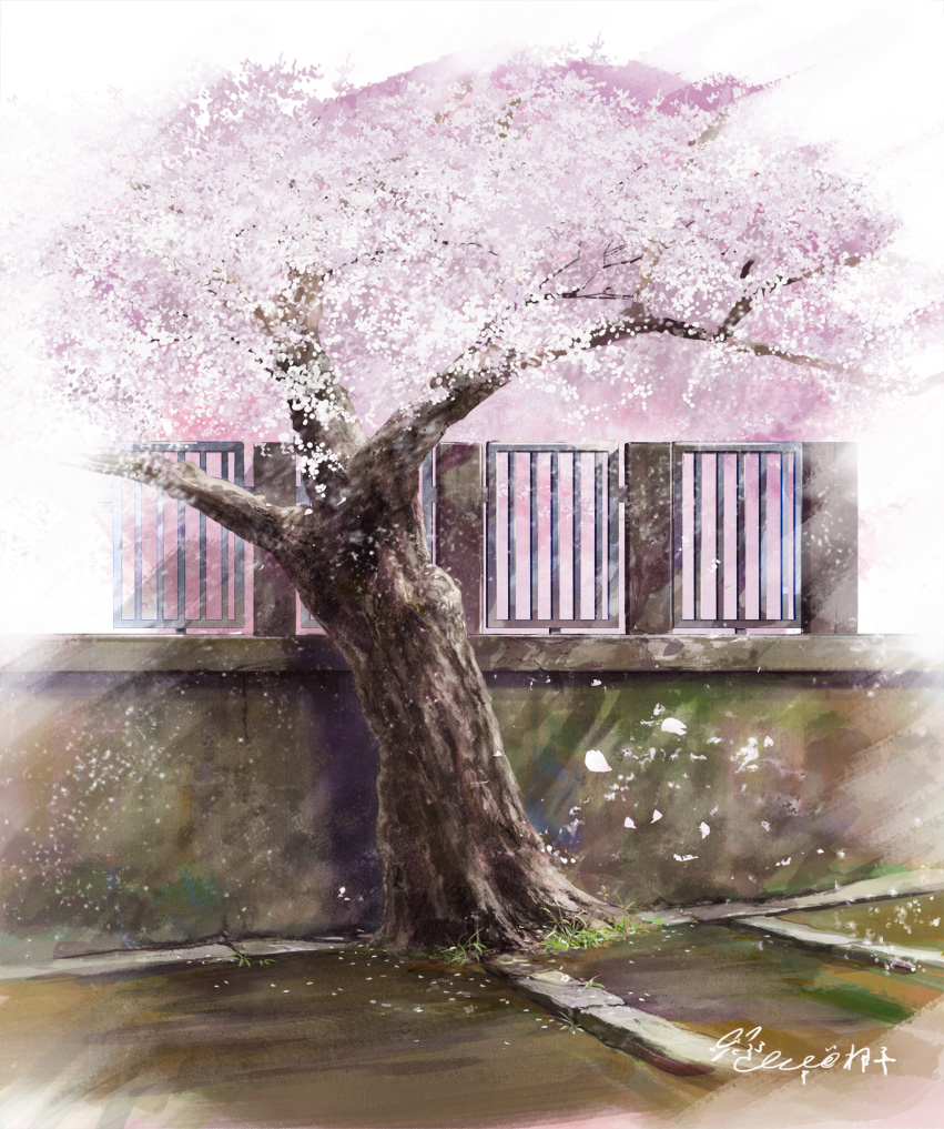 cherry_blossoms day grass hachiya_shohei no_humans original outdoors scenery signature still_life tree wall