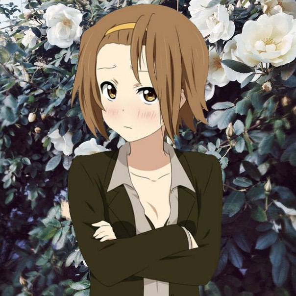 1girl brown_eyes brown_hair k-on! short_hair solo tainaka_ritsu