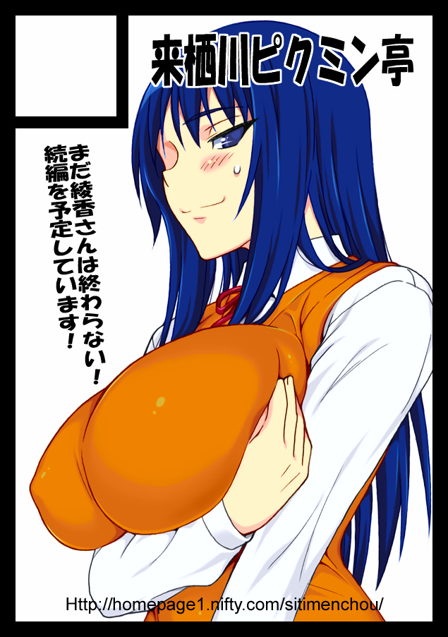 1girl :3 blush breasts colorized kurusagawa_ayaka large_breasts long_hair school_uniform shichimenchou solo to_heart vest