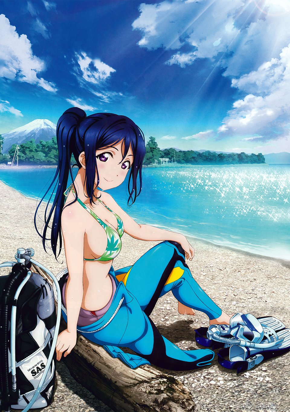 1girl artist_request beach bikini blue_hair clouds diving_mask fins highres leaf_print logo love_live! love_live!_sunshine!! matsuura_kanan mountain official_art oxygen_tank snorkel swimsuit tree violet_eyes water wetsuit wood